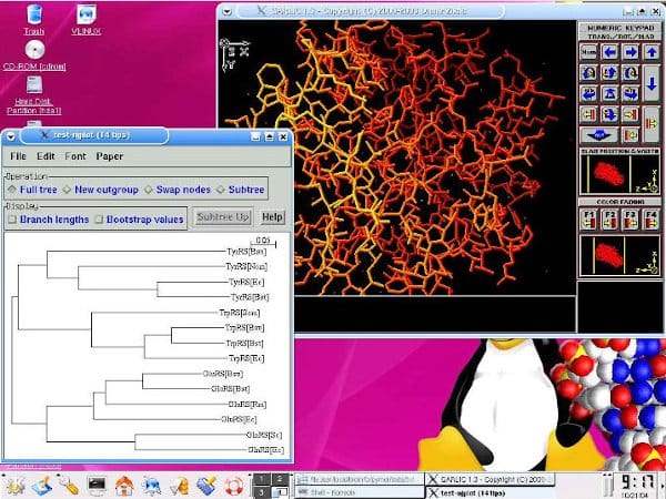 Screenshot of VLinux Live-CD with bundled software